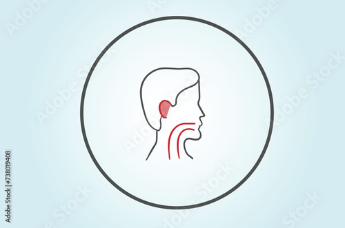 Treatment varies depending on the specific thyroid condition and may include medication, radioactive iodine therapy, or surgery