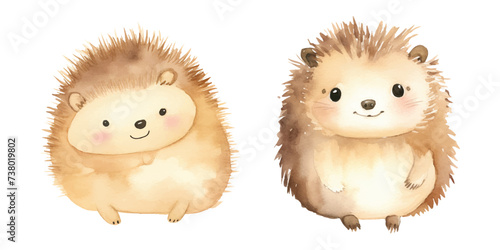 cute Hedgehog watercolor illustration design
