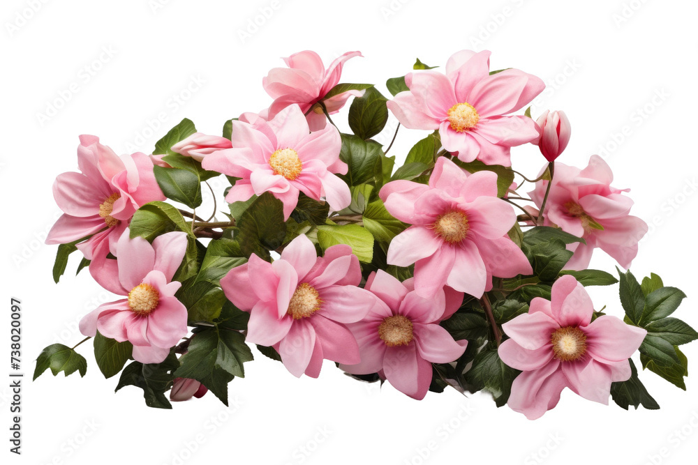 A Bunch of Pink Flowers With Green Leaves. A group of pink flowers with vibrant green leaves captured in a colorful garden setting.
