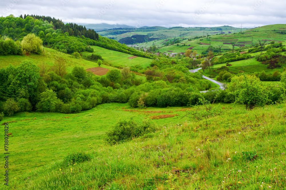 rural valley of ukrainian countryside in spring. green carpathian scenery with grassy meadows and forested hills on a rainy day