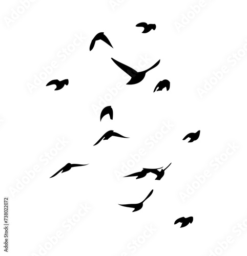 Flying birds silhouette flock. hand drawing. Not AI, Vector illustration © Мария Неноглядова