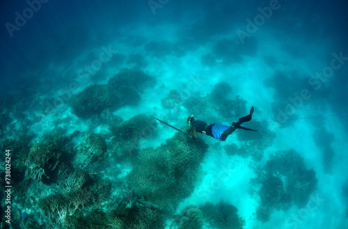 Speardiver swimming deep with spear in one hand and clear blue water and reef below photo