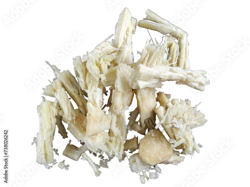 Green sugarcane bagasse isolated on transparent background