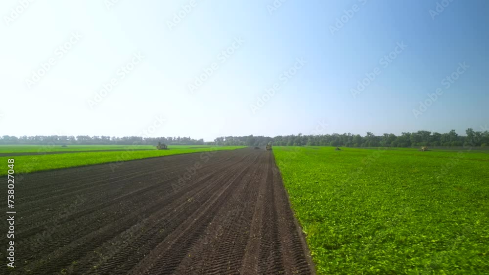 Agriculture - Sugar Beet Field Aerial View Agriculture - Sugar Beet Field Aerial View