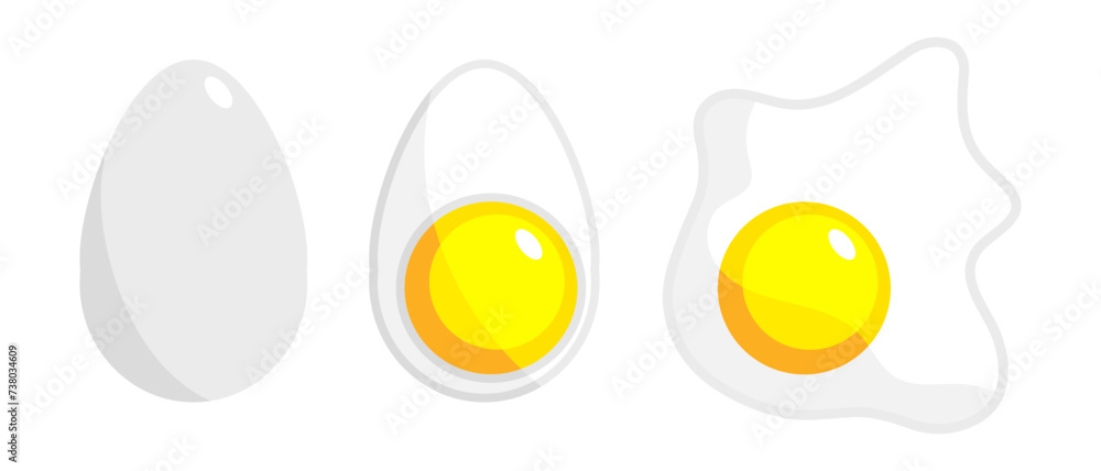 Egg in shell. An egg cut in half. Fried eggs. Chicken egg illustration. Vector isolated on white background. Egg in shell. An egg cut in half. Fried eggs. Chicken egg illustration. Vector isolated on white background.
