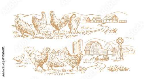 countryside landscape with chicken. Farm sketch