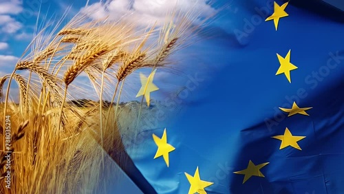 EU flag close up, slow motion. Wheat field, agriculture background. 4K photo