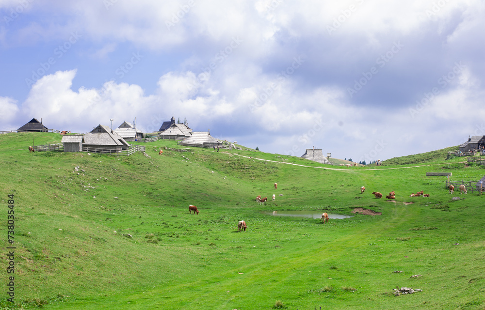 authentic slovenian wooden huts in a green alpine valley for seasonal horned cattle grazing authentic slovenian wooden huts in a green alpine valley for seasonal horned cattle grazing