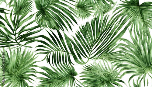 Tropical Elegance: Collection of Palm Leaf Patterns Isolated on White Background © PhotoPhreak