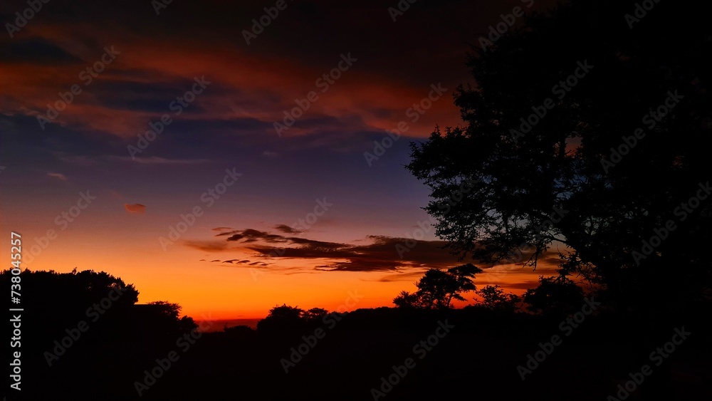 Colorful sunset in savanna Colorful sunset in savanna