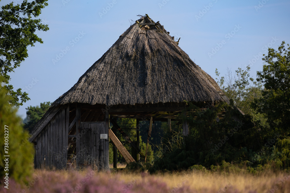 Fototapeta premium Alter, verlassener Schafstall verfällt langsam mitten in der Natur.