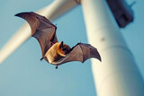Bat flying torward to a wind turbine 