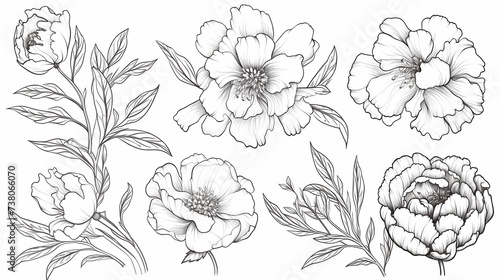 Set of peony flowers and leaves, Hand drawn botanical vector illustration, Generative AI illustrations. photo
