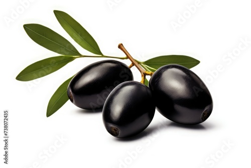 Isolated olives. Three black olive fruits on a branch with leaves isolated on white background  black olives with leaves