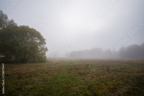 Morning autumn landscape. Foggy dawn. Large clearing with lonely trees flooded with thick fog