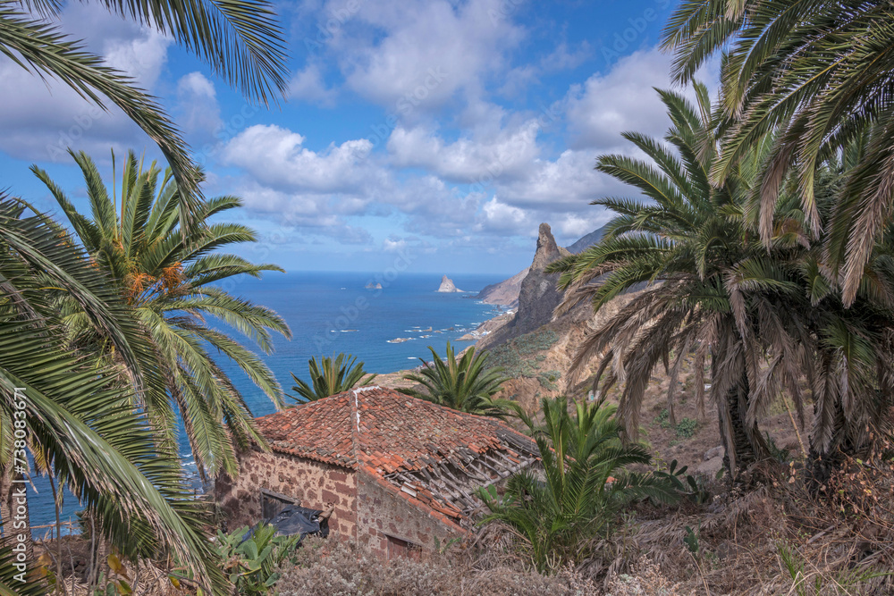 Palmeras y casa abandonada en la costa de Anaga de Tenerife, islas Canarias

