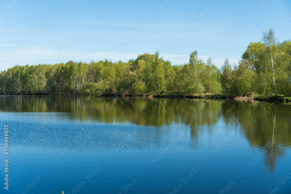 A stunningly beautiful view of the lake next to the forest against the blue sky on a warm sunny spring day. Outdoor recreation concept. River bay, forest on the shore
