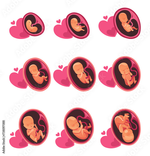 Embryo month stage growth, fetal development flat infographic icons. Medical illustration of foetus cycle