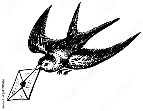 Hand drawing of one cute swallow bird flying and carrying  envelope with love letter in beak, black and white vector illustration