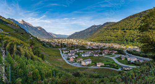 Reebberg mit Sicht auf Martigny und die Berge