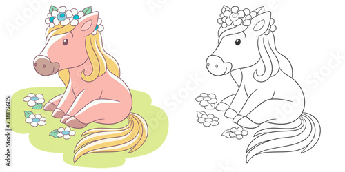 Horse on the floral field. Cute baby animal character. Set with a coloring page and colorful cartoon illustration.