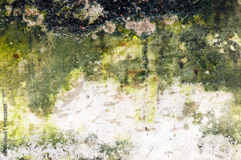Green moss and rain stains on cement wall Green moss and rain stains on cement wall