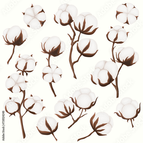 Cotton plants set, vector illustration. Cartoon isolated boll and pod with raw fluffy organic fiber of cotton harvest, natural leaf and bud on branch in botanical background photo