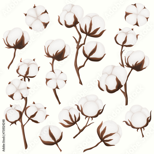 Cotton plants set, vector illustration. Cartoon isolated boll and pod with raw fluffy organic fiber of cotton harvest, natural leaf and bud on branch in botanical background