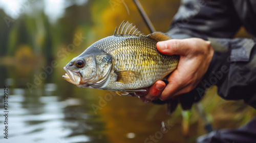 fisherman caught bream, fishing, close-up, fish, lake, river, scales, carp, nature, fins, tail, man, hobby, hand holding perch, water, forest