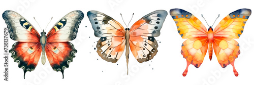 Set of watercolor butterfly, isolated on transparent background