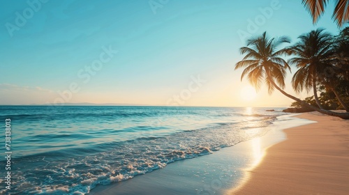 Tropical Beach with Palm Trees