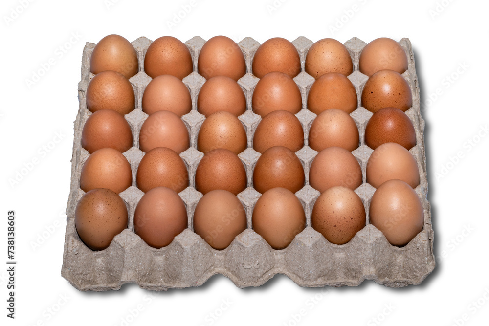 Chicken eggs in a cardboard package. 30 raw eggs in paper egg panel isolated on white background. clipping path.