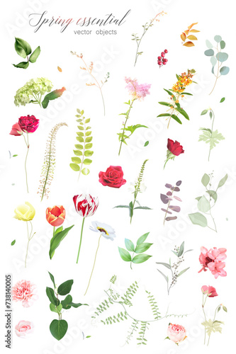 Red rose, green hydrangea, bright tulips, carnation, ranunculus, spring garden flowers, eucalyptus, greenery, fern