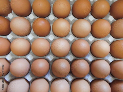 整然と並べられた茶色い卵
