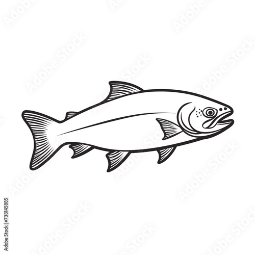 atlantic salmon fish vector illustration isolated transparent background logo, cut out or cutout t-shirt print design