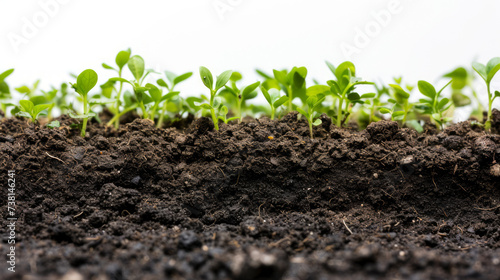 An agriculture with black soil on white background