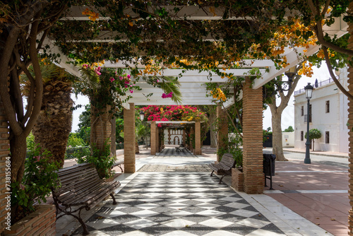 Balcon de Maro  Andalusia  Spain. Urban Garden. Pergola Climbing Plants.