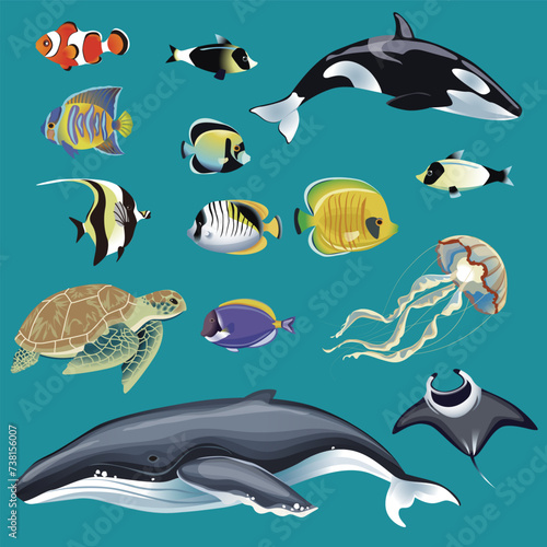 Photography Realistic sea animals.