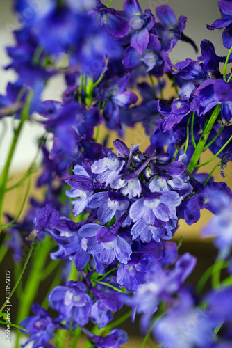 Purple Flowers in Vase