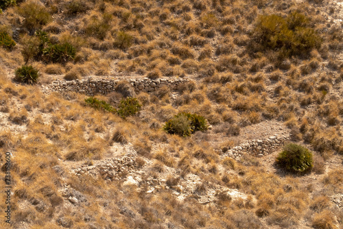 Suelos aterrazados en las colinas junto a cala de Enmedio. Terreno escarpado y desértico con muchos arbustos resistentes a las altas temperaturas. Cabo de Gata, Almería, España. photo