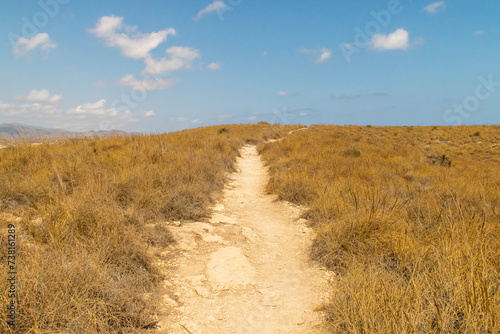 Ruta de senderismo entre pastos secos en medio de un paisaje semides  rtico. Sendero Agua Amarga hasta Cala Enmedio en N  jar  Almer  a  Espa  a.