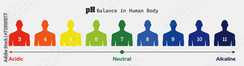 The PH balance scale chart in a human body, showing sickness and health in human body, pH level Balance, vector illustration infographics,