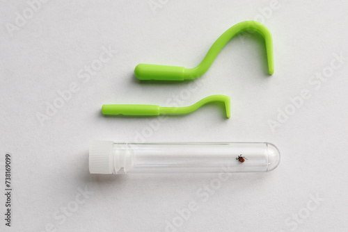 Inside test tube encephalitic mite, insect spreading infection, skin puller, on white textured surface