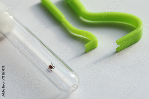 Inside test tube live encephalitic tick, spreading insect, green skin puller, on white textured surface