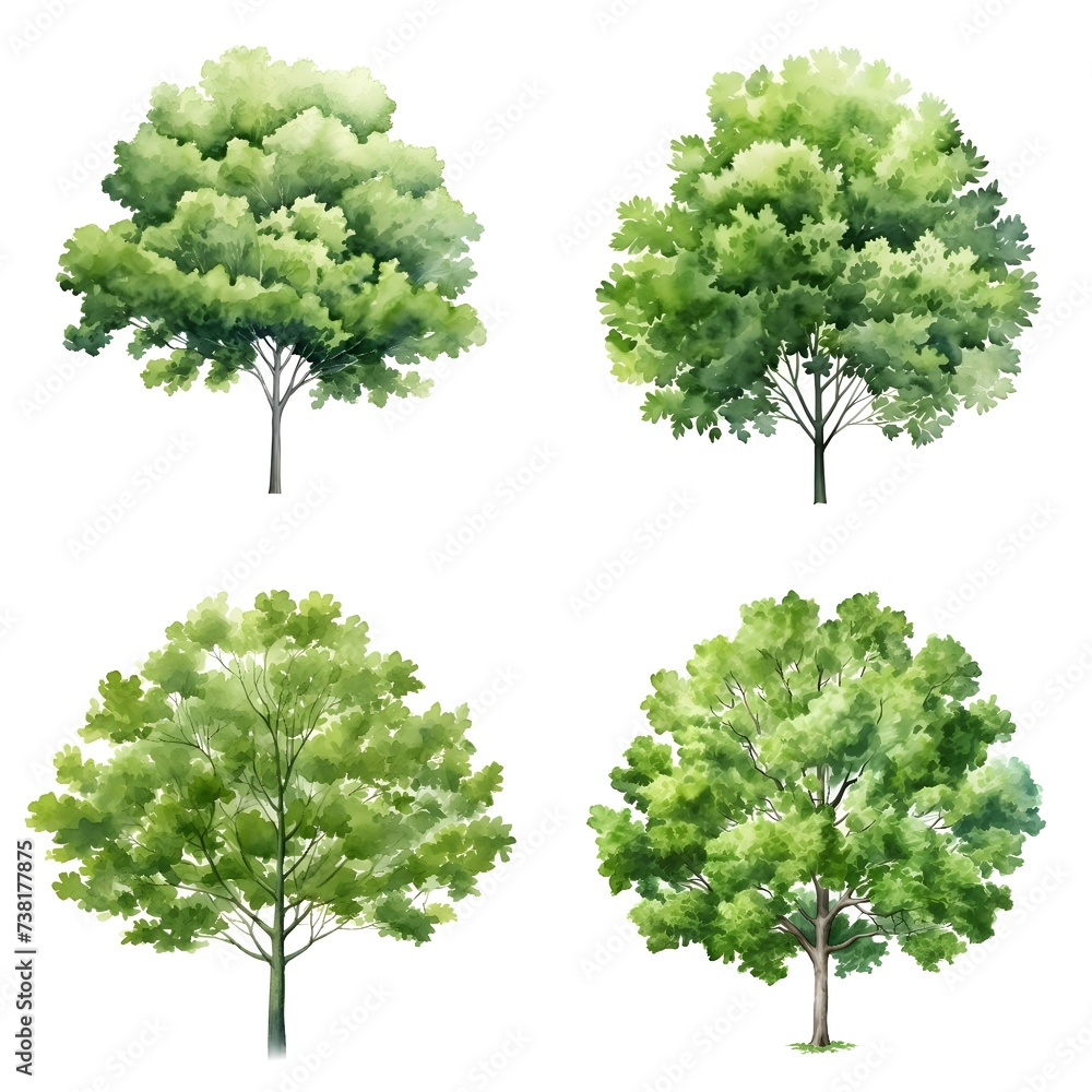 set of watercolor trees - obrazy, fototapety, plakaty 