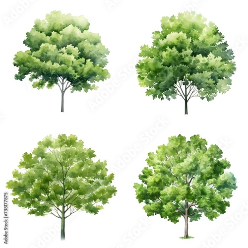 set of watercolor trees photo