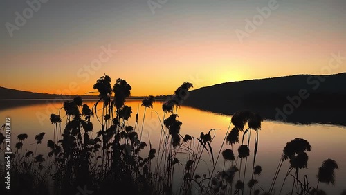 Golden sunset on Lake Comabbio. photo