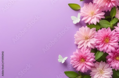 Delicate lilac background with space for copying. On the right are spring flowers in pink shades. Advertising banner concept  invitation for Mother s Day  Valentine s Day  Wedding Day