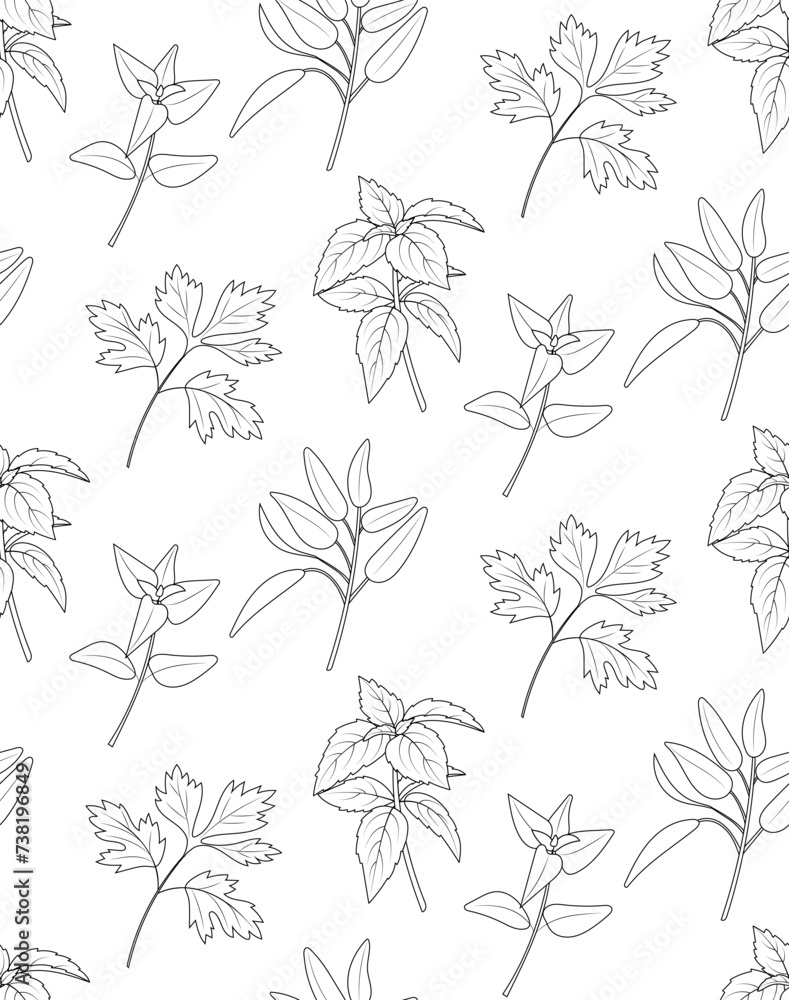 Fototapeta premium Seamless pattern of green kitchen culinary herbs on white background. Line art style . Oregano, basil, parsley, sage. Vector 