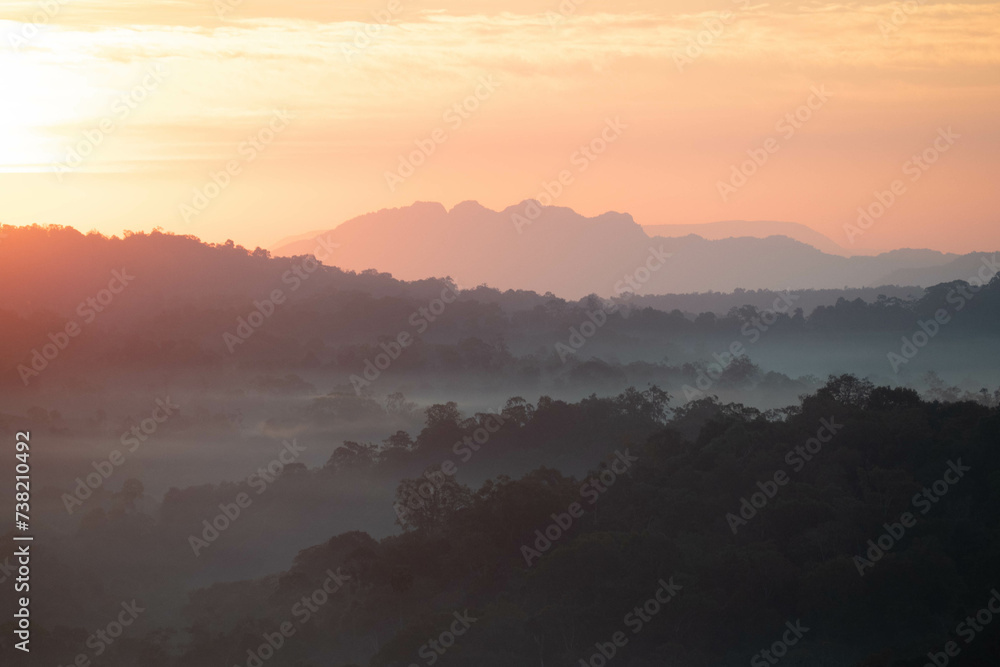 Fototapeta premium The stunning view from a tourist's standpoint as they go down a hill on a foggy trail with a hill and a background of a golden sky in Forest Park, Thailand. Rainforest. Bird's eye view. Aerial view.